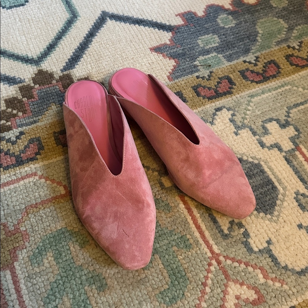 Charlotte Stone Calvin Mules